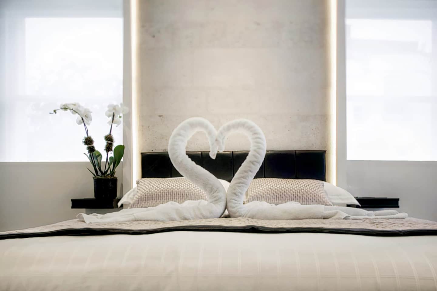 NOX HOTELS - Belsize Park