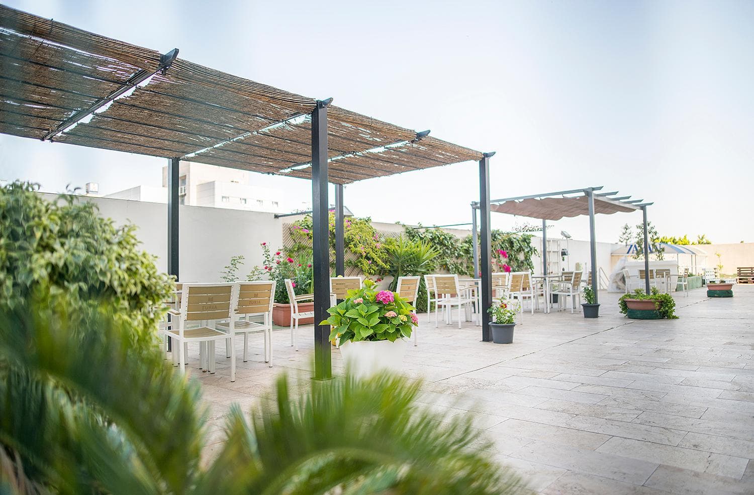 Xon's Valencia