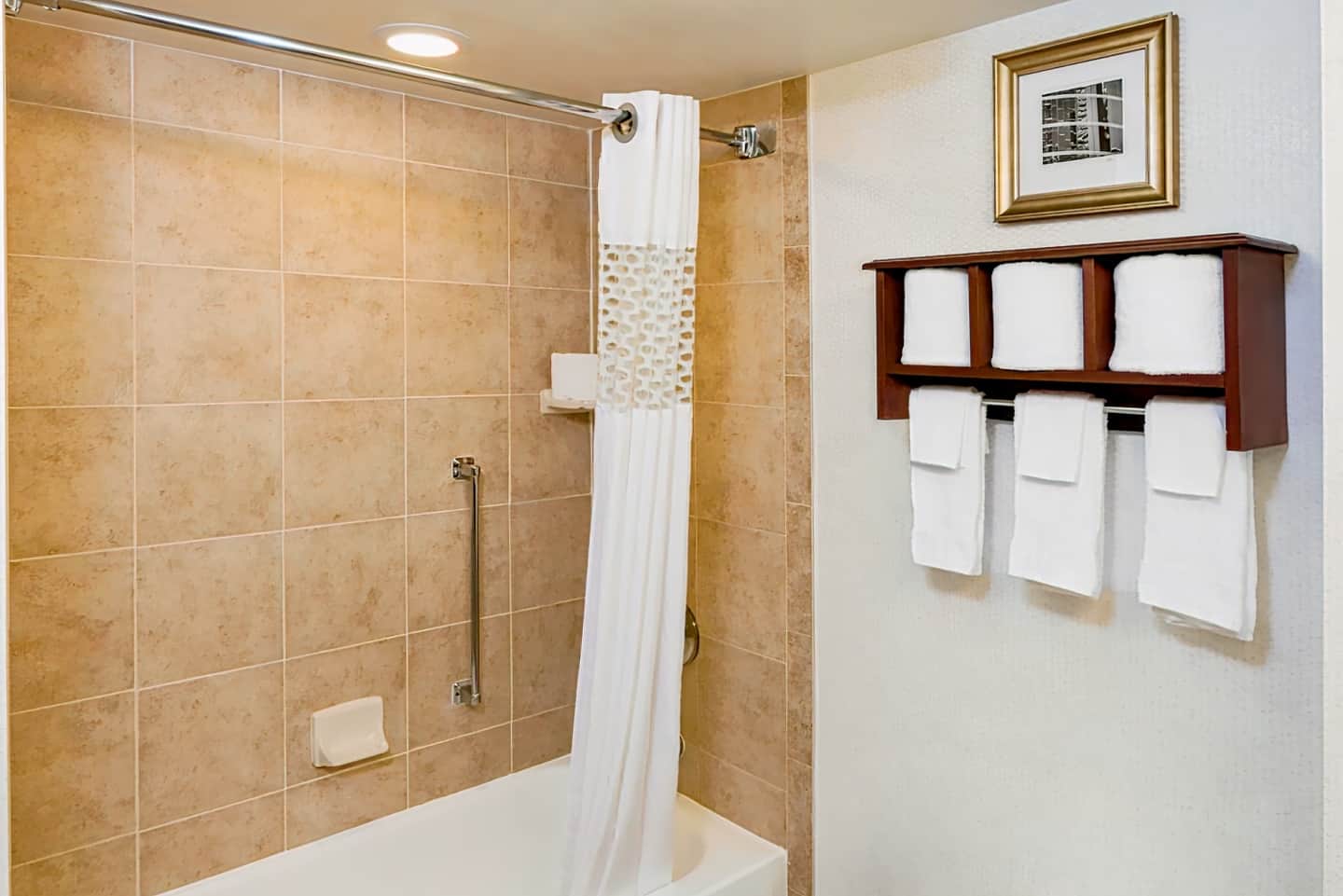 Hampton Inn Houston-Near The Galleria