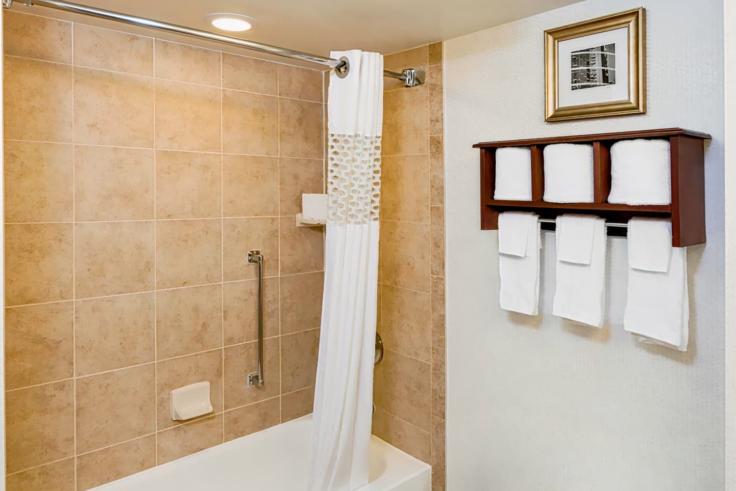 Hampton Inn Houston-Near The Galleria