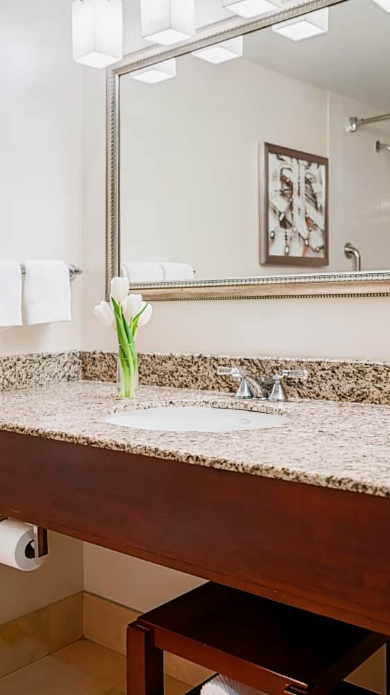 Renaissance Newark Airport Hotel