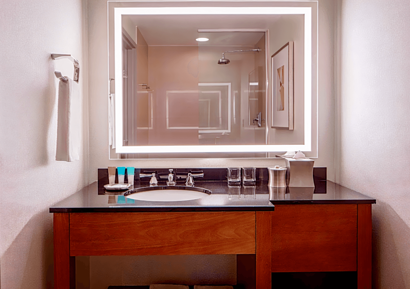Hyatt Regency Crystal City At Reagan National Airport