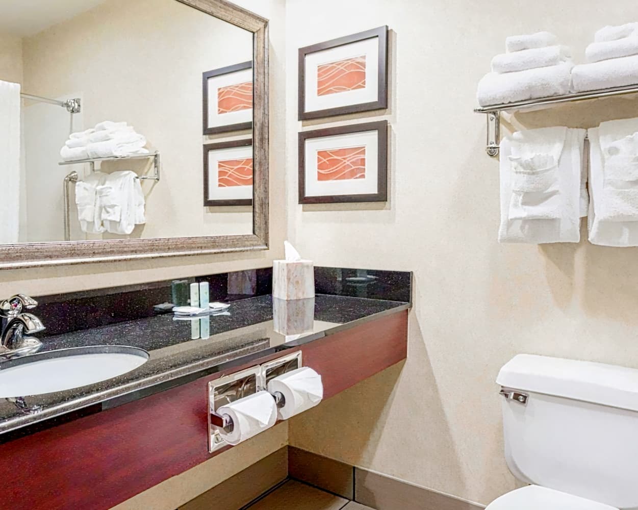 Comfort Inn Civic Center