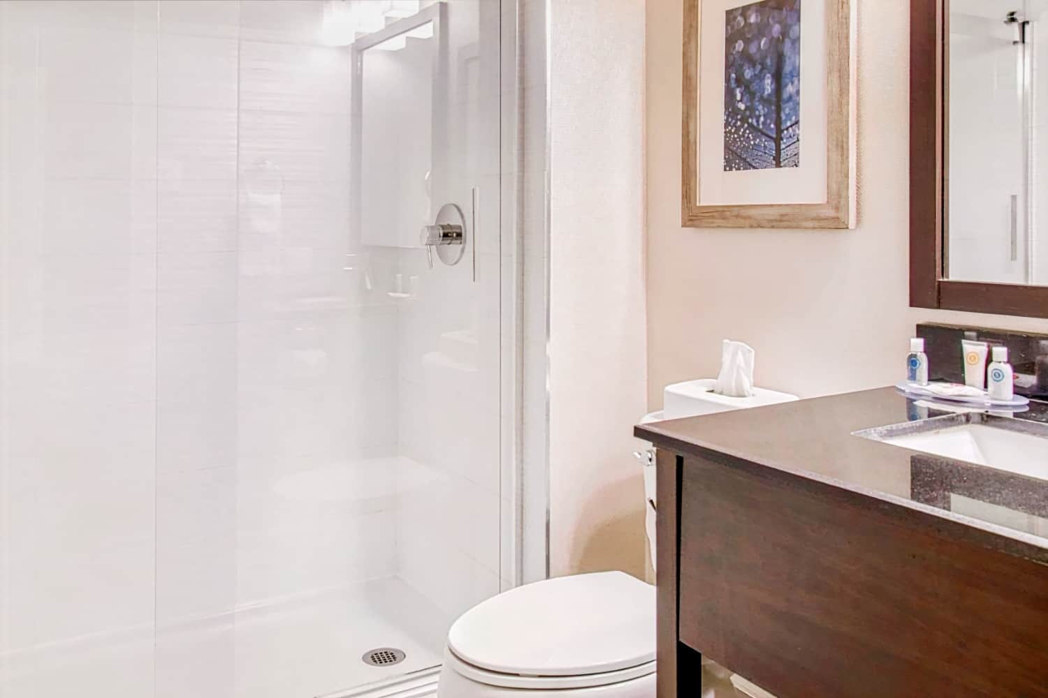 Comfort Inn Pointe-Claire