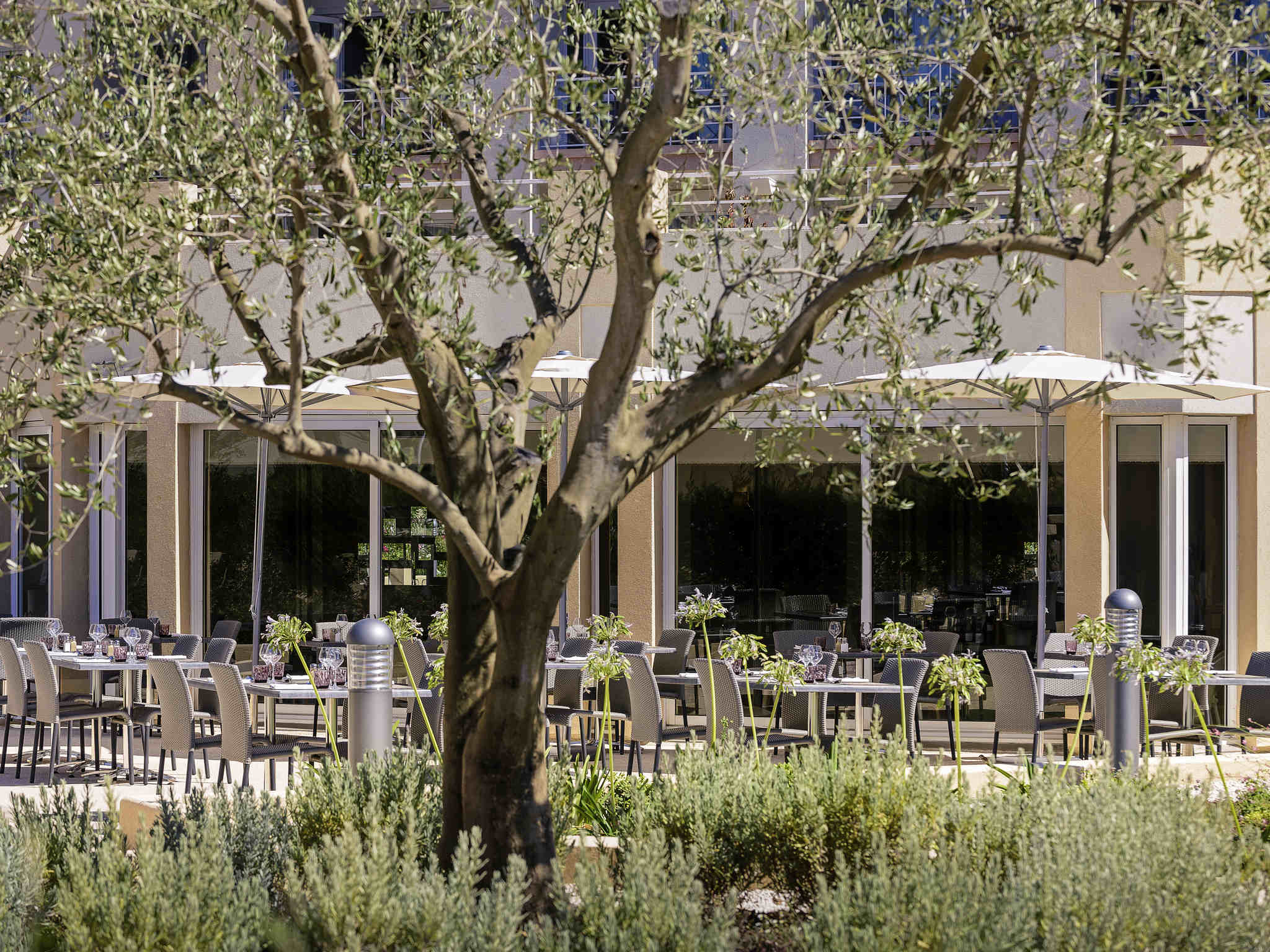 Mercury Thalasso and Spa Port Frejus