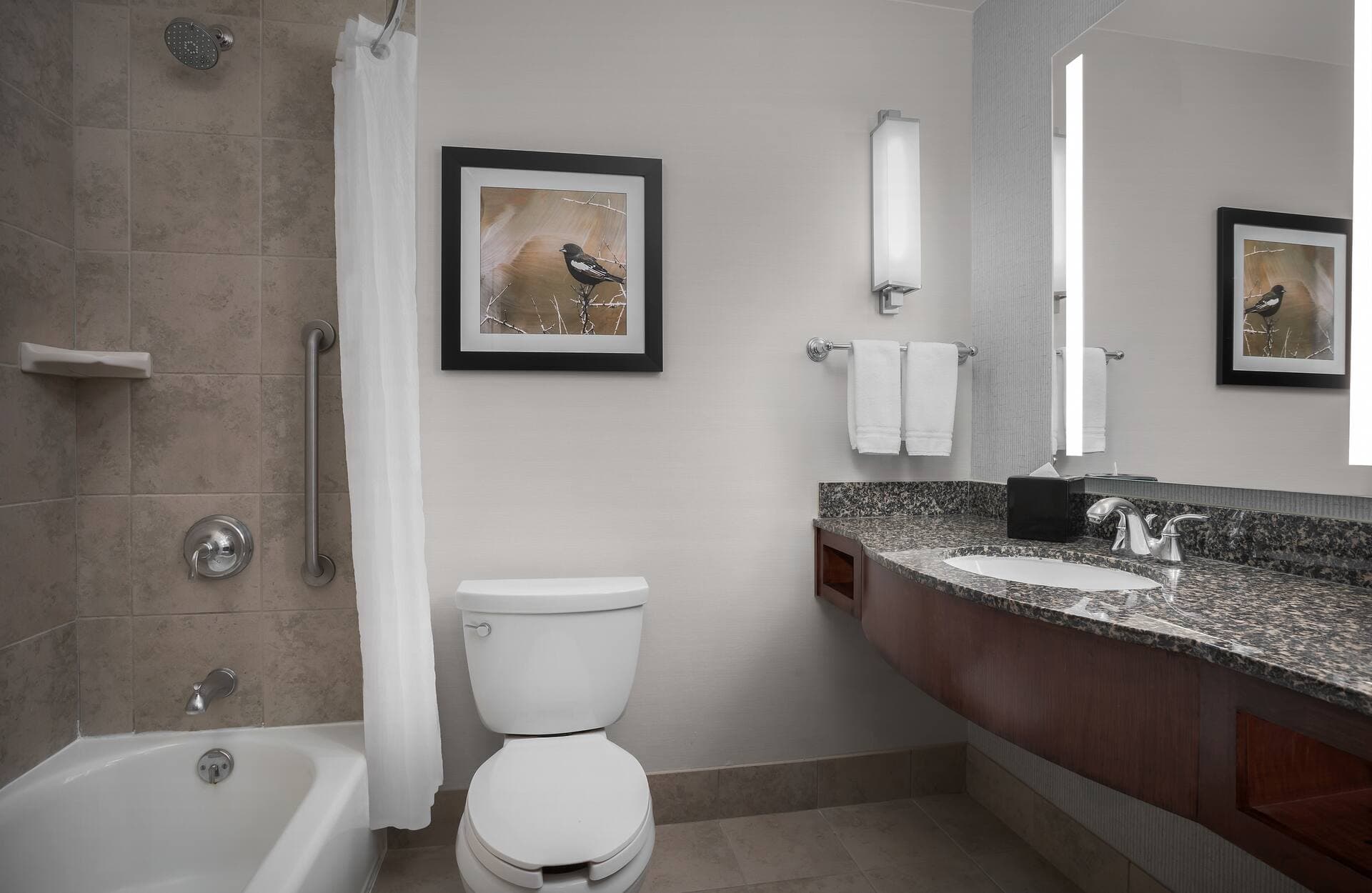 Hilton Garden Inn Denver Downtown