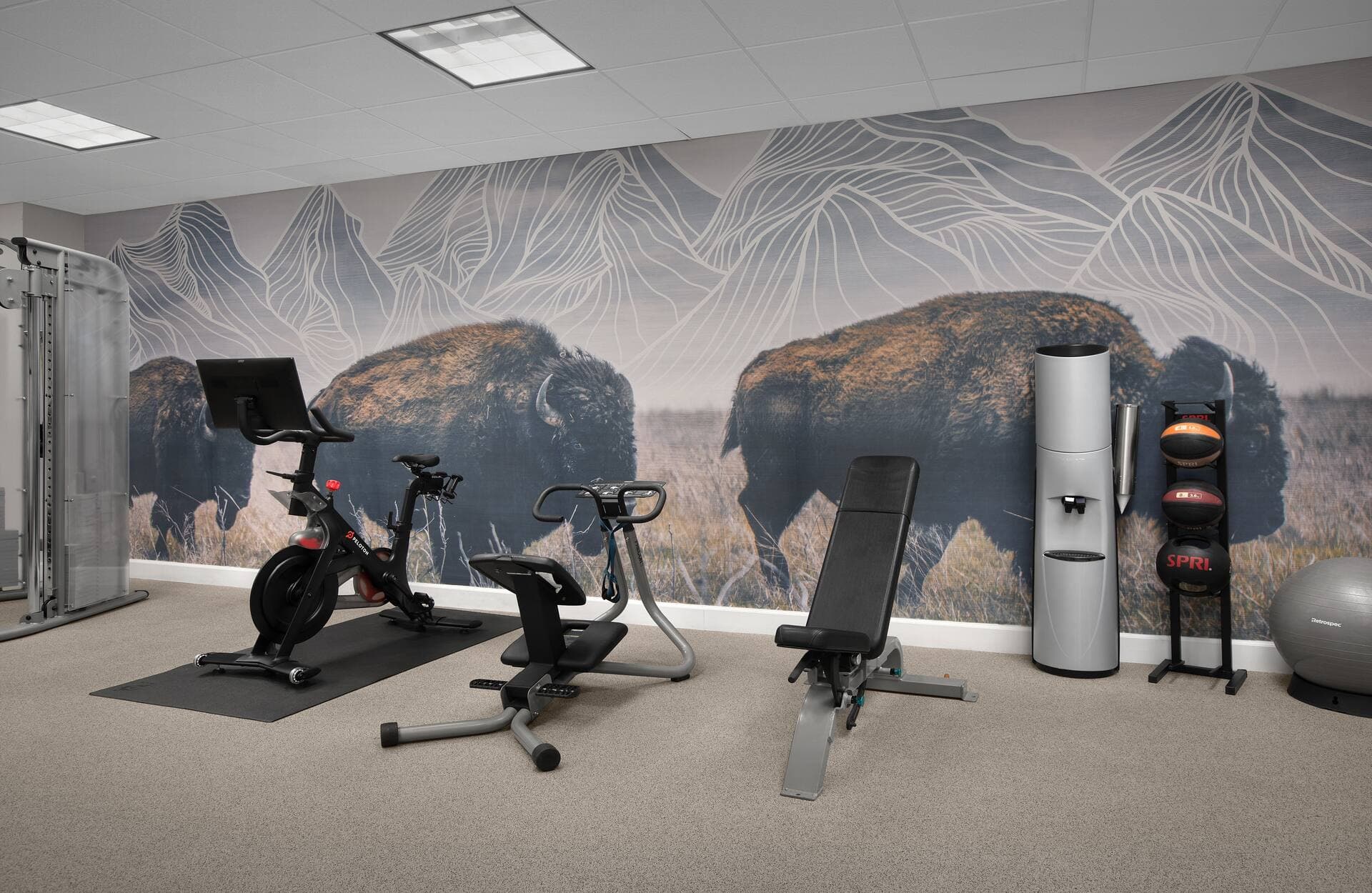 Hilton Garden Inn Denver Downtown