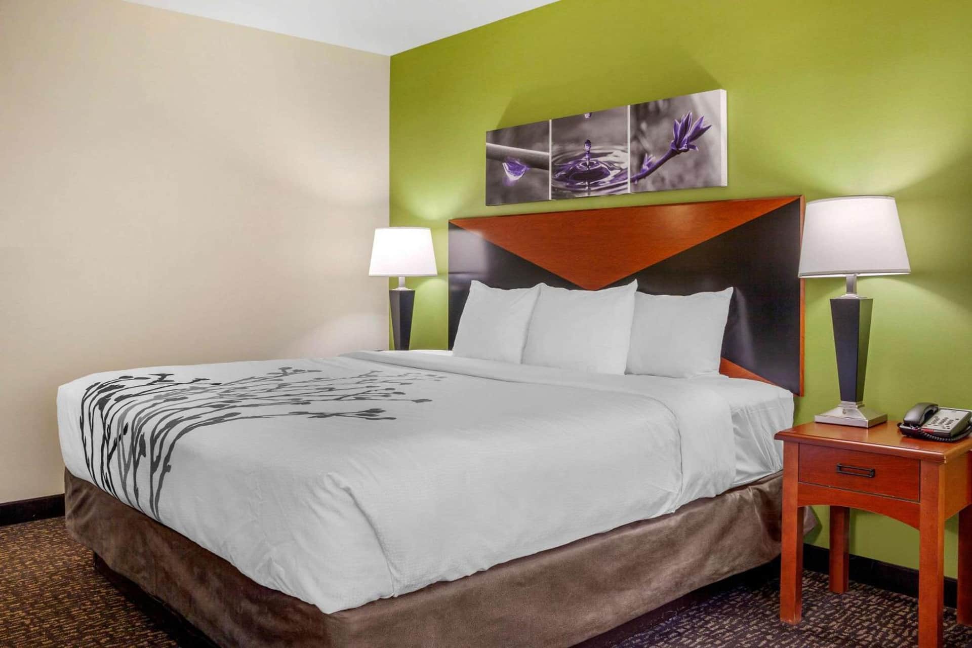 Sleep Inn & Suites Airport