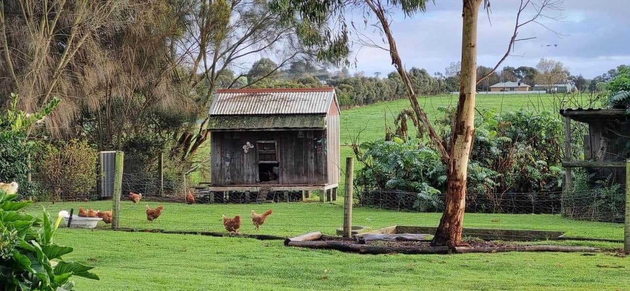 Colac Otway Caravan & Cabin Park