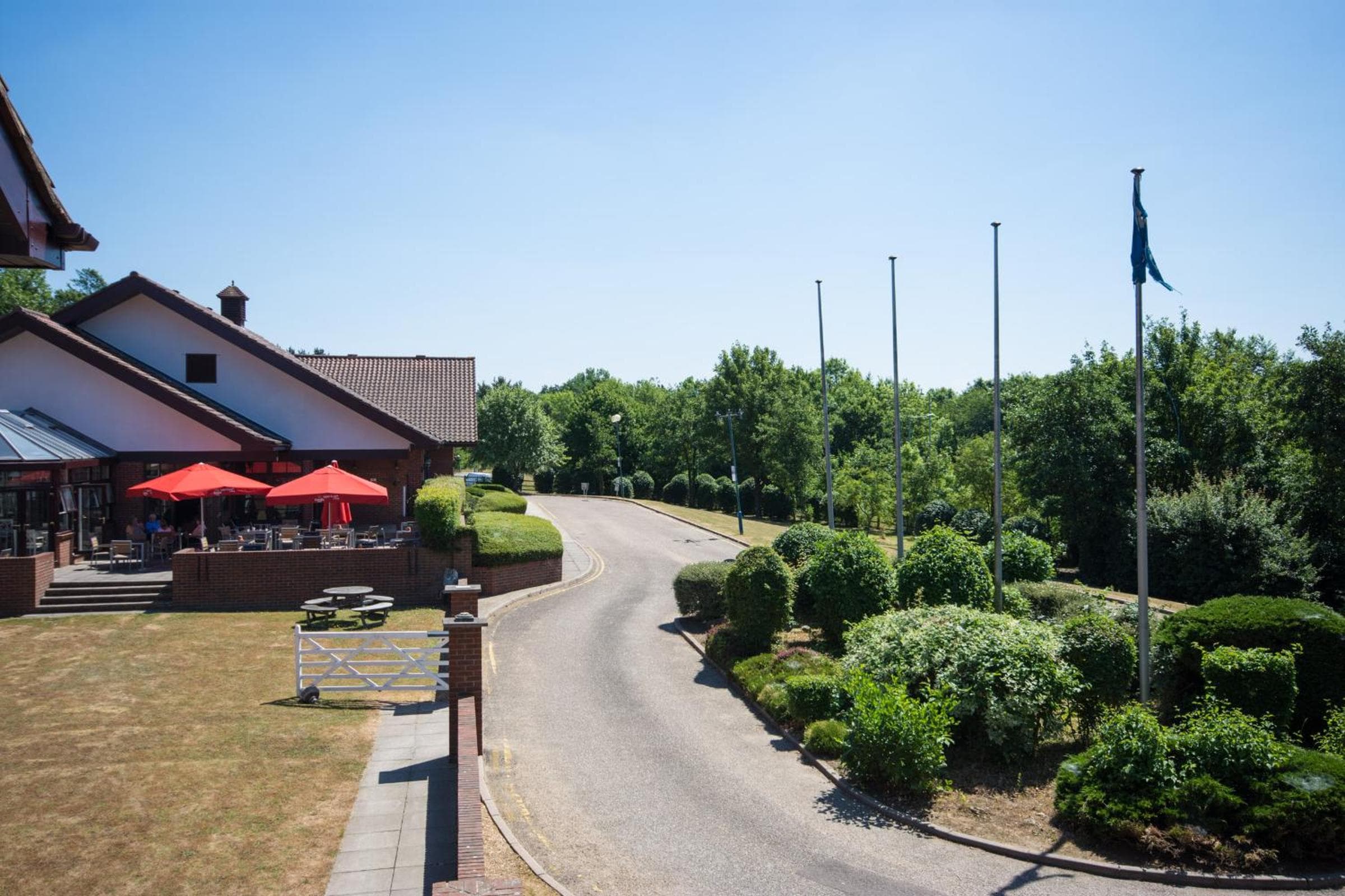 Dragonfly Bury St Edmunds
