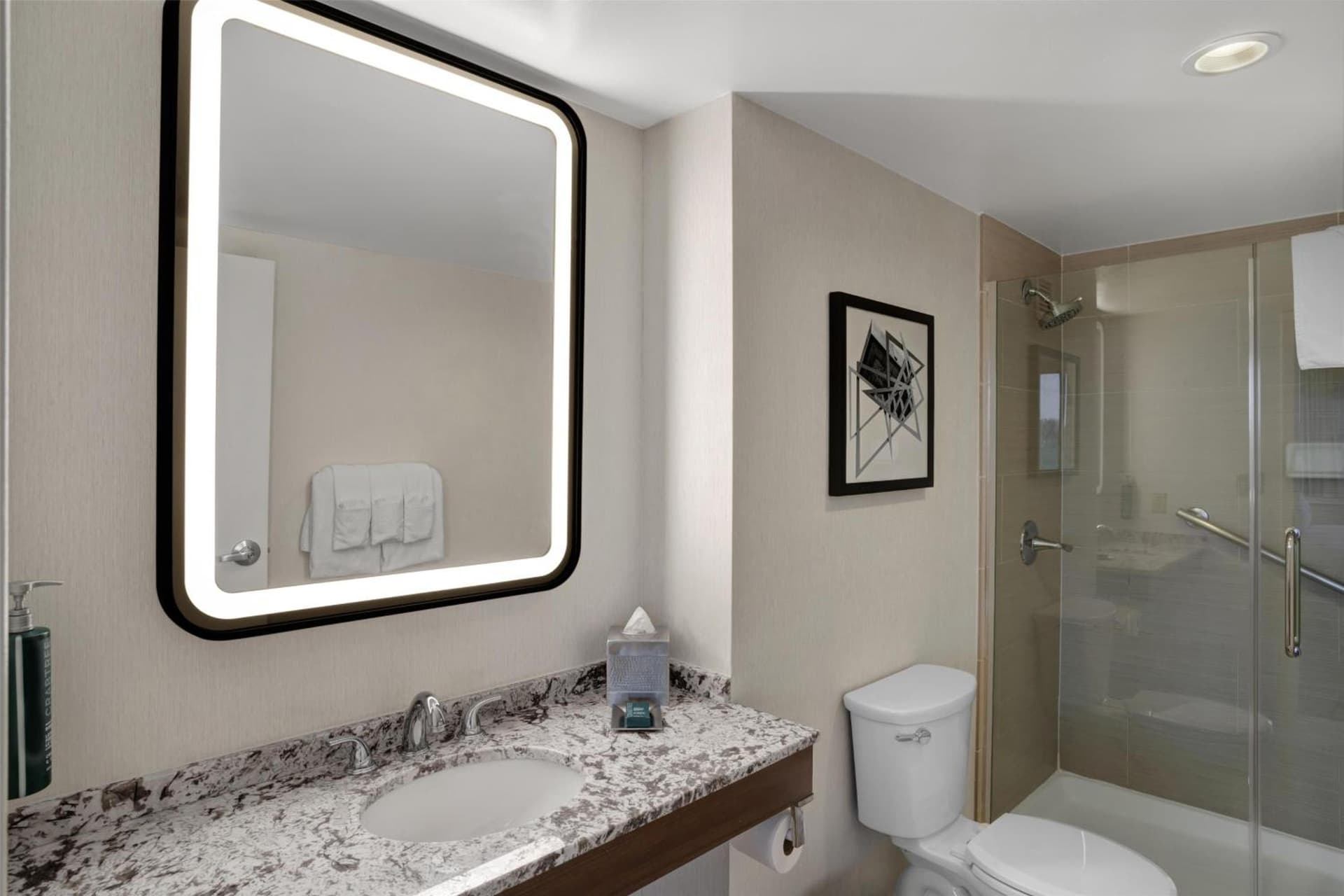 Hilton Arlington National Landing