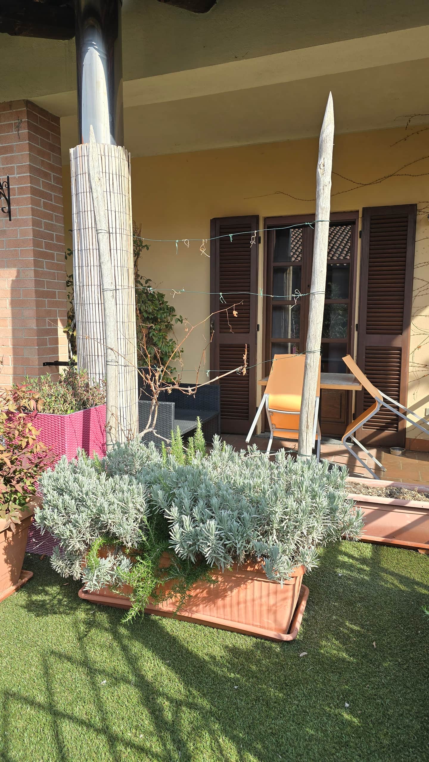 Albergo Motta