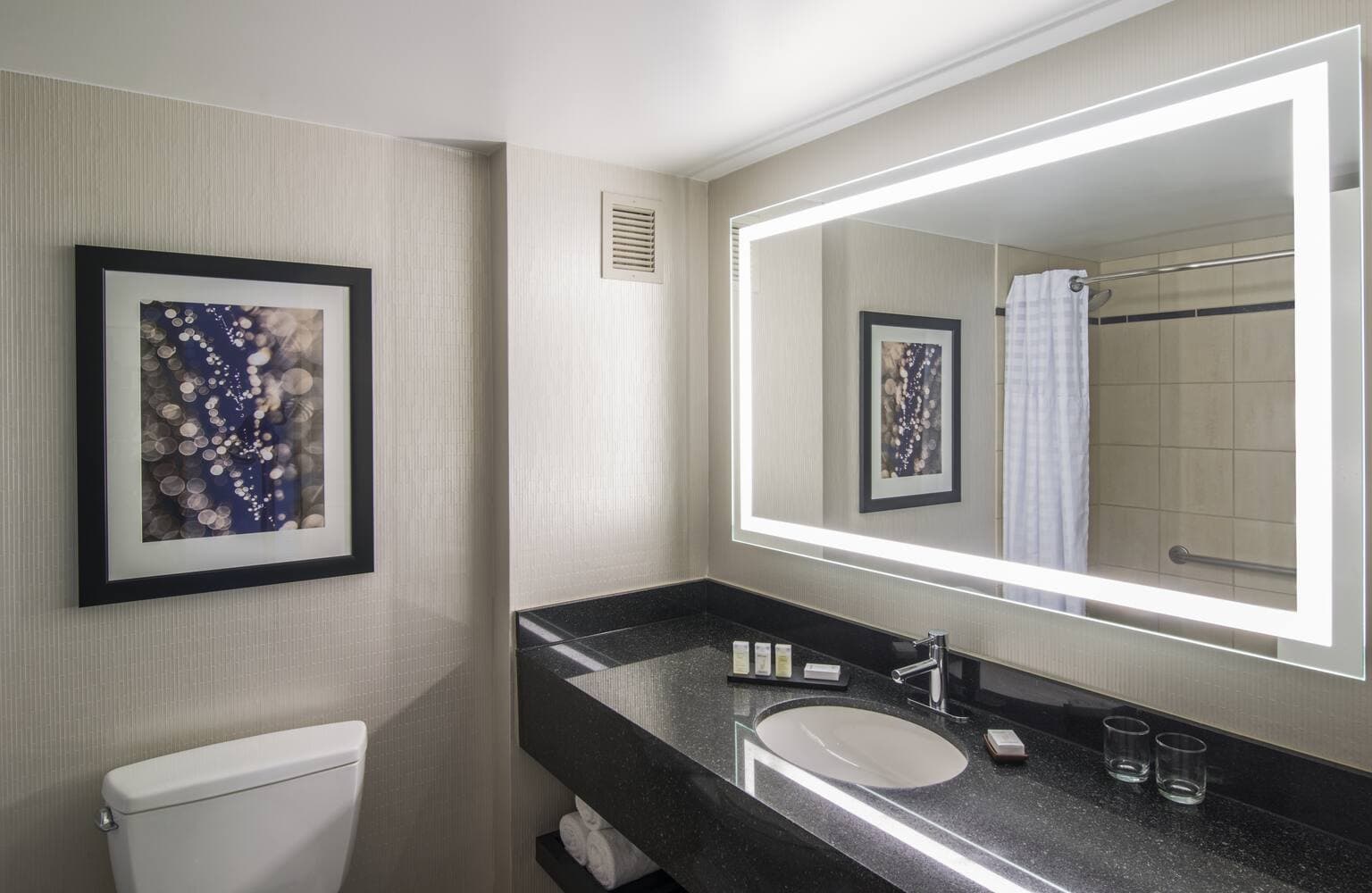 Embassy Suites by Hilton Chicago Downtown Magnificent Mile